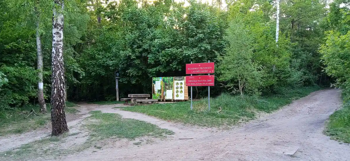 Белянский лес, Беляны